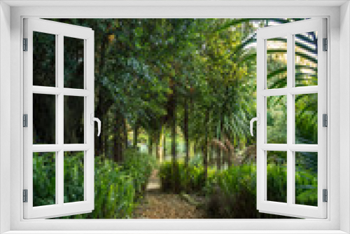 Fototapeta Naklejka Na Ścianę Okno 3D - Path in a tropical plant garden