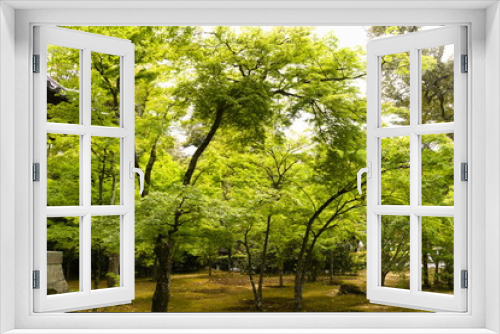 Fototapeta Naklejka Na Ścianę Okno 3D - kyoto