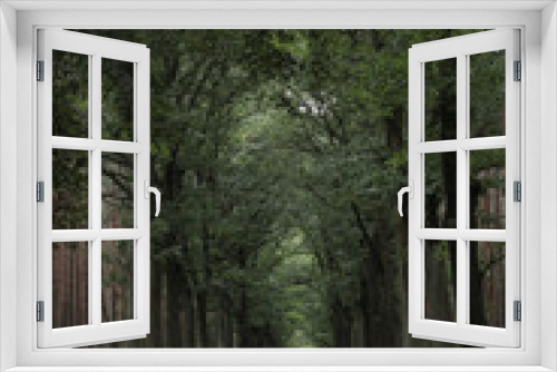 Fototapeta Naklejka Na Ścianę Okno 3D - forest road