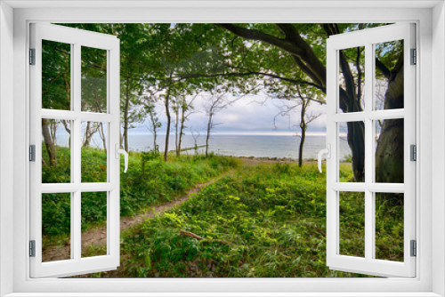 Fototapeta Naklejka Na Ścianę Okno 3D - landscape, sea, beach, trees