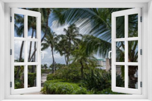 Fototapeta Naklejka Na Ścianę Okno 3D - Palm Trees and Walkway
