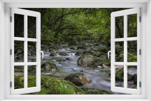 Fototapeta Naklejka Na Ścianę Okno 3D - FOR THE LOVE OF MOSS, FERNS AND CLEAR WATER