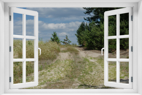 Fototapeta Naklejka Na Ścianę Okno 3D - Road in meadow grass and flowers in summer