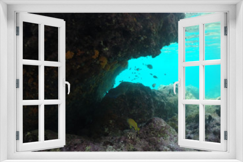 Fototapeta Naklejka Na Ścianę Okno 3D -    Curacao Views in the caribbean