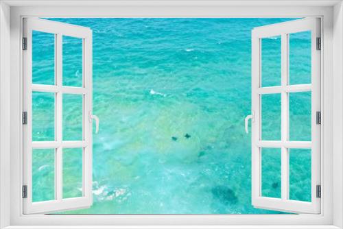 Fototapeta Naklejka Na Ścianę Okno 3D - Mantaray's ocean