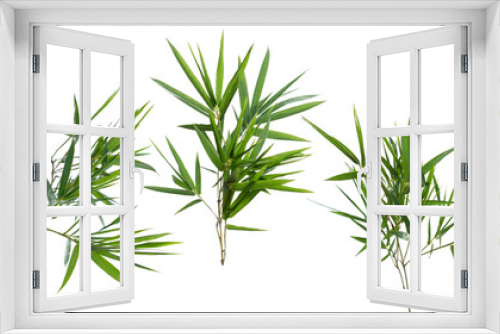 Fototapeta Naklejka Na Ścianę Okno 3D - bamboo isolated on white background