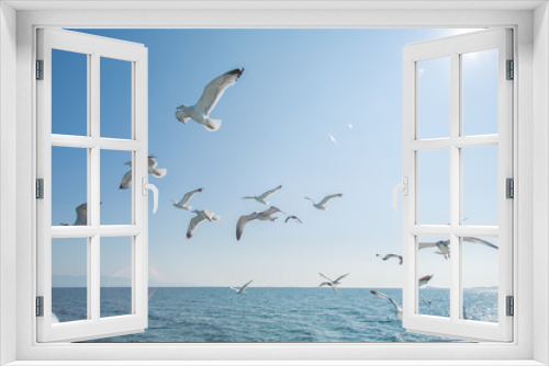 Fototapeta Naklejka Na Ścianę Okno 3D - Чайки в небе