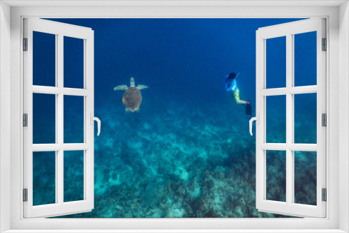 Fototapeta Naklejka Na Ścianę Okno 3D - Freediver dives with a green sea turtle in a shallow coral reef