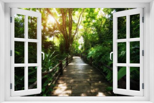 Fototapeta Naklejka Na Ścianę Okno 3D - Beautiful rain forest at nature trails in Thailand is a very popular for photographer and tourists. Natural and Travel Concept.