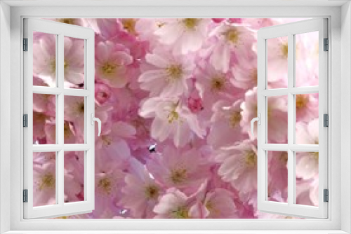 Fototapeta Naklejka Na Ścianę Okno 3D - soft in pink
