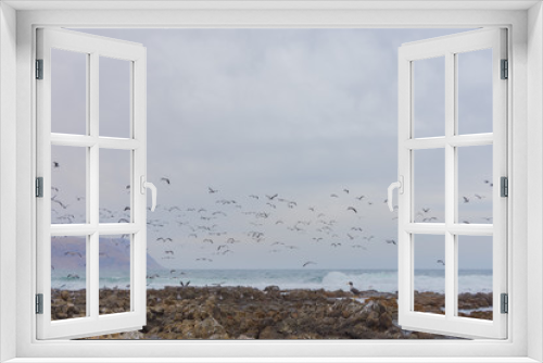 Fototapeta Naklejka Na Ścianę Okno 3D - migrating birds