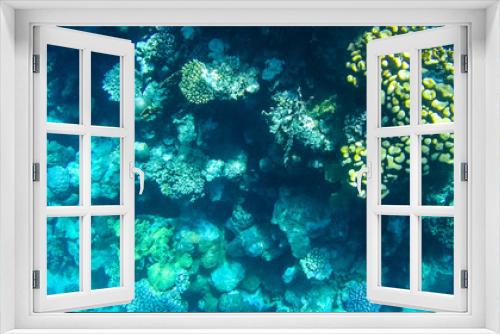 Fototapeta Naklejka Na Ścianę Okno 3D - Fish and corals in the red sea in Egypt.