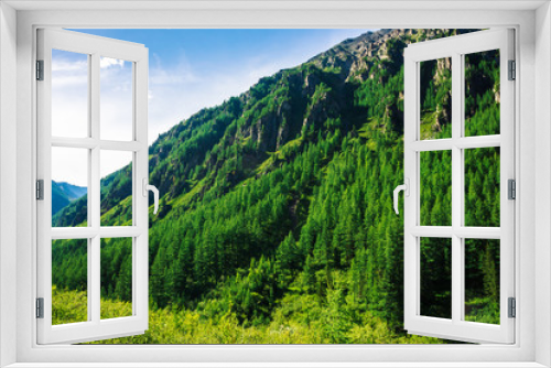 Fototapeta Naklejka Na Ścianę Okno 3D - Giant mountain slope with conifer forest in sunny day. Texture of tops of coniferous trees on mountainside in sunlight. Steep rocky cliff. Vivid landscape of majestic nature. View from meadow on hill.