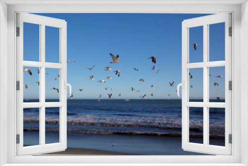 Fototapeta Naklejka Na Ścianę Okno 3D - Beach Gulls3
