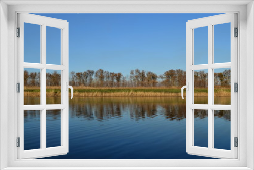 Fototapeta Naklejka Na Ścianę Okno 3D - Ripples on the river with forest reflection in the water. Shore with dry reeds and a line of trees