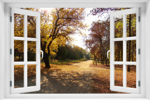 Fototapeta Naklejka Na Ścianę Okno 3D - Stitched Panorama Золотая осень