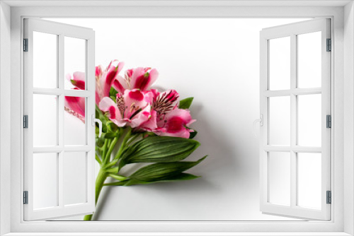 Fototapeta Naklejka Na Ścianę Okno 3D - peruvian lily flower flora with leaf on white background