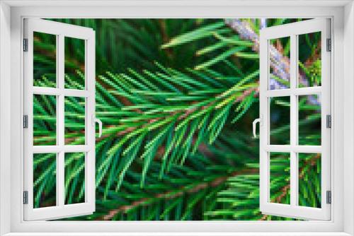 Fototapeta Naklejka Na Ścianę Okno 3D - Natural fir tree brunches, Christmas wallpaper concept