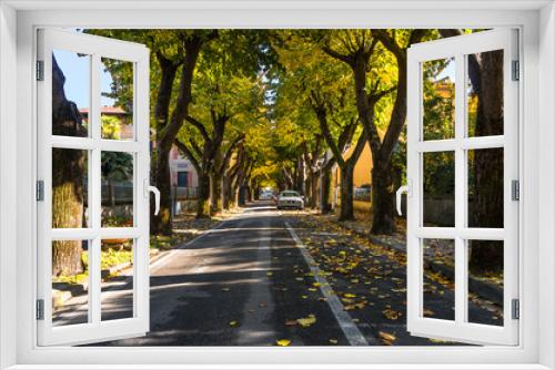 Fototapeta Naklejka Na Ścianę Okno 3D - The Italian street in the autumn. Trees with yellow leaves.