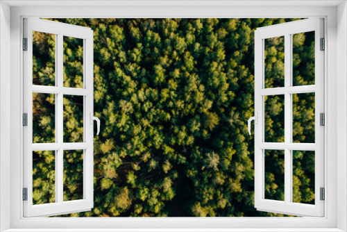 Fototapeta Naklejka Na Ścianę Okno 3D - top view of green forest in arezzo province, Italy