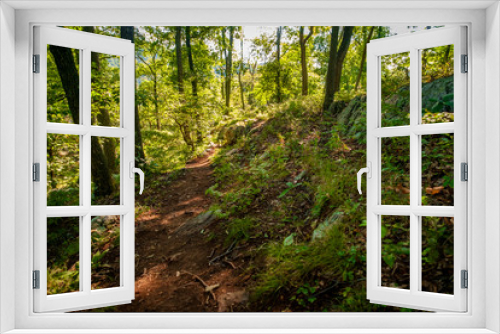 Fototapeta Naklejka Na Ścianę Okno 3D - Hills Mountain Trail
