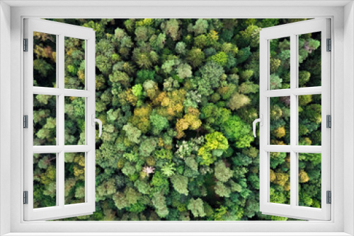 Fototapeta Naklejka Na Ścianę Okno 3D - Lubelskie lato z lotu ptaka