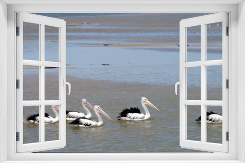 Fototapeta Naklejka Na Ścianę Okno 3D - pelican train