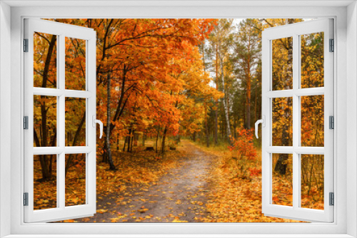 Fototapeta Naklejka Na Ścianę Okno 3D - autumn sketches. landscape. autumn colors.