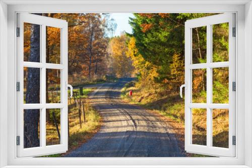 Fototapeta Naklejka Na Ścianę Okno 3D - Rural road through autumn landscape