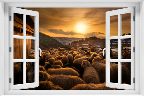 Fototapeta Naklejka Na Ścianę Okno 3D - Sheep herd at sunset in Romania