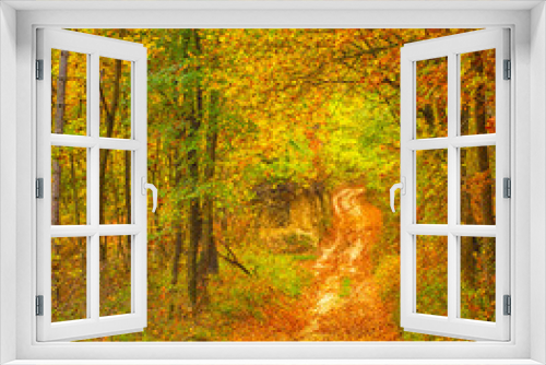 Fototapeta Naklejka Na Ścianę Okno 3D - Pathway in the forest in autumn