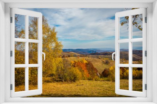 Fototapeta Naklejka Na Ścianę Okno 3D - Autumn landscape, colorful forest