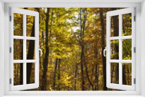 Fototapeta Naklejka Na Ścianę Okno 3D - autumn path in a forest