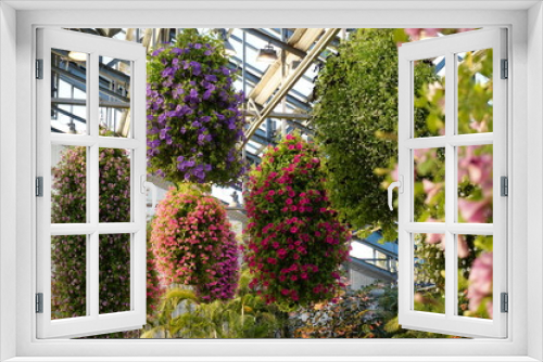 Fototapeta Naklejka Na Ścianę Okno 3D - 植物園