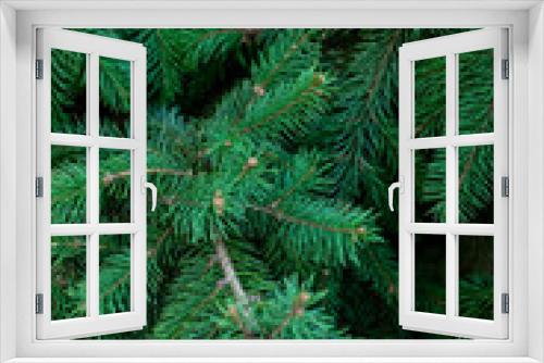 Fototapeta Naklejka Na Ścianę Okno 3D - Christmas fir tree branches Background. Christmas pine tree wallpaper. Copy space..
