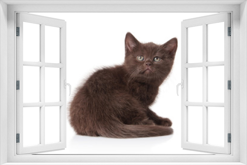 Fototapeta Naklejka Na Ścianę Okno 3D - Cat. Small british kitten on white background