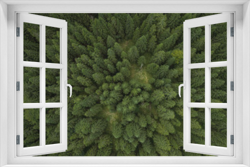 Fototapeta Naklejka Na Ścianę Okno 3D - Aerial photo of a green spruce forest in late summer
