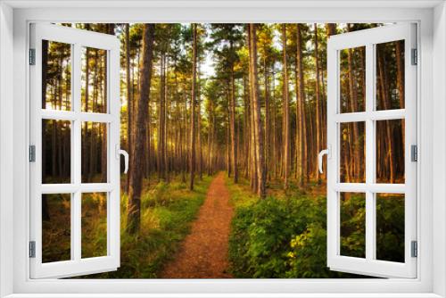 Fototapeta Naklejka Na Ścianę Okno 3D - Wald mit Weg im Herbst