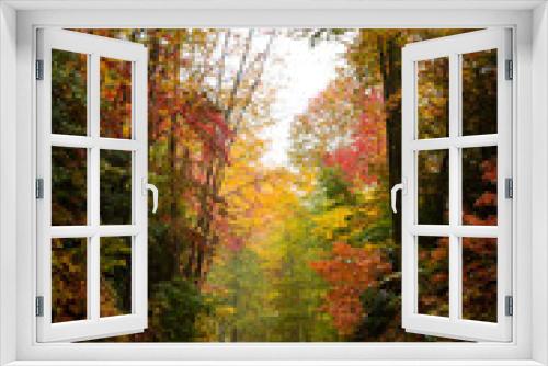 Fototapeta Naklejka Na Ścianę Okno 3D - Foliage Gravel Road