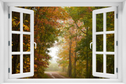 Fototapeta Naklejka Na Ścianę Okno 3D - Autumn Walking Path