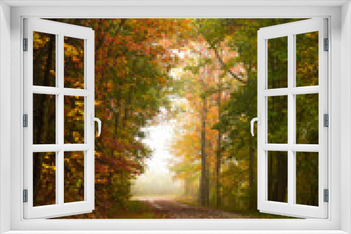 Fototapeta Naklejka Na Ścianę Okno 3D - A Misty Autumn Morning