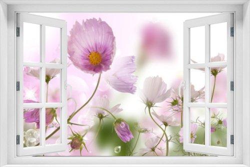 Fototapeta Naklejka Na Ścianę Okno 3D - flowers wild springtime