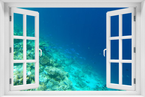 Fototapeta Naklejka Na Ścianę Okno 3D - Barriera Corallina Maldive