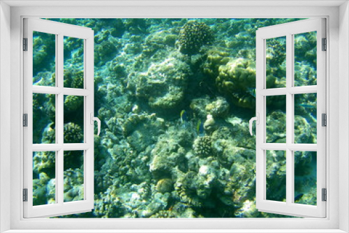 Fototapeta Naklejka Na Ścianę Okno 3D - Barriera Corallina Maldive