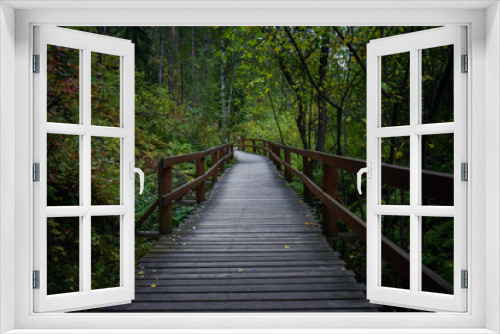 Fototapeta Naklejka Na Ścianę Okno 3D - wooden bridge in forest