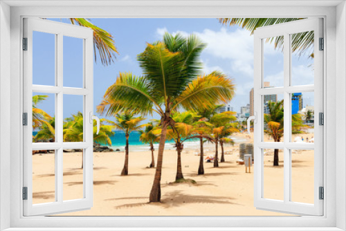 Fototapeta Naklejka Na Ścianę Okno 3D - Beautiful tropical palm trees at popular touristic Condado beach in San Juan, Puerto Rico