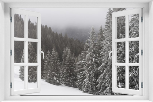 Fototapeta Naklejka Na Ścianę Okno 3D - The snow-covered evergreen forest in the fog; Mountain slopes in the mist; Monochrome scene; Gloomy mood on winter day