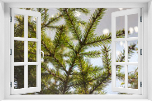 Fototapeta Naklejka Na Ścianę Okno 3D - Christmas tree winter time