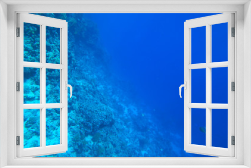 Fototapeta Naklejka Na Ścianę Okno 3D - the coral reef