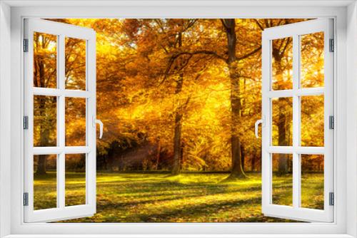 Fototapeta Naklejka Na Ścianę Okno 3D - Wald Panorama im Herbst als Hintergrund